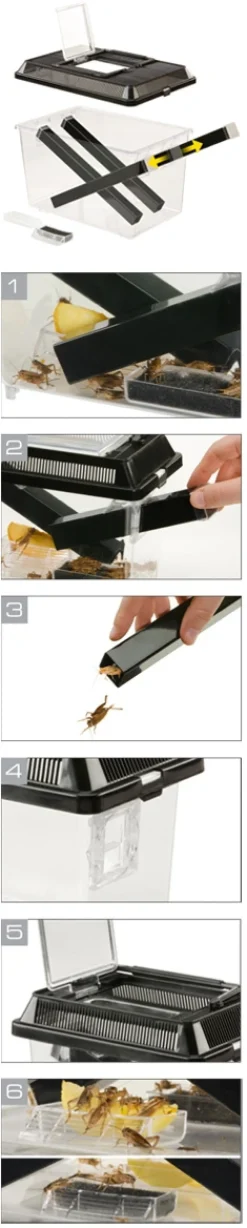Exo Terra Cricket Pen stor