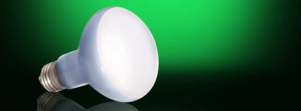 Exo Terra Day Glo Spot 75 w med UVA