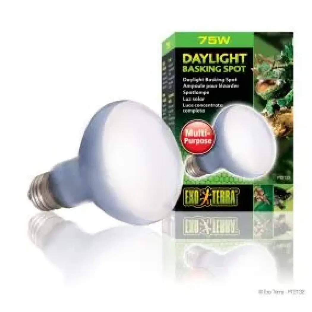 Exo Terra Day Glo Spot 75 w med UVA