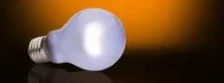 Exo Terra Day Glo 60 watt med UVA