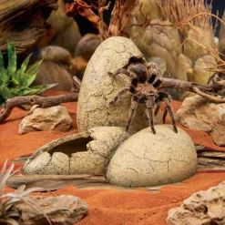 Exo Terra Dinosaur Æg Lille