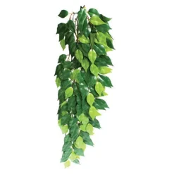 Exo Terra Ficus stor