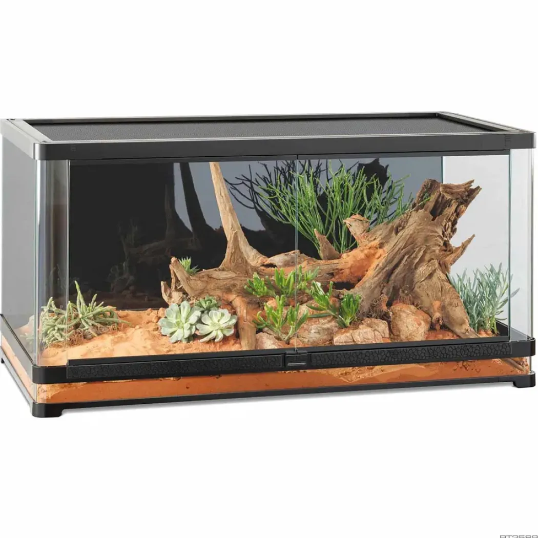 Exoterra Glas Terrarium Vista 120XL Buet rude