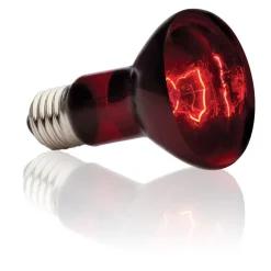Exo Terra Heat Glo Infrarød spot 50 Watt