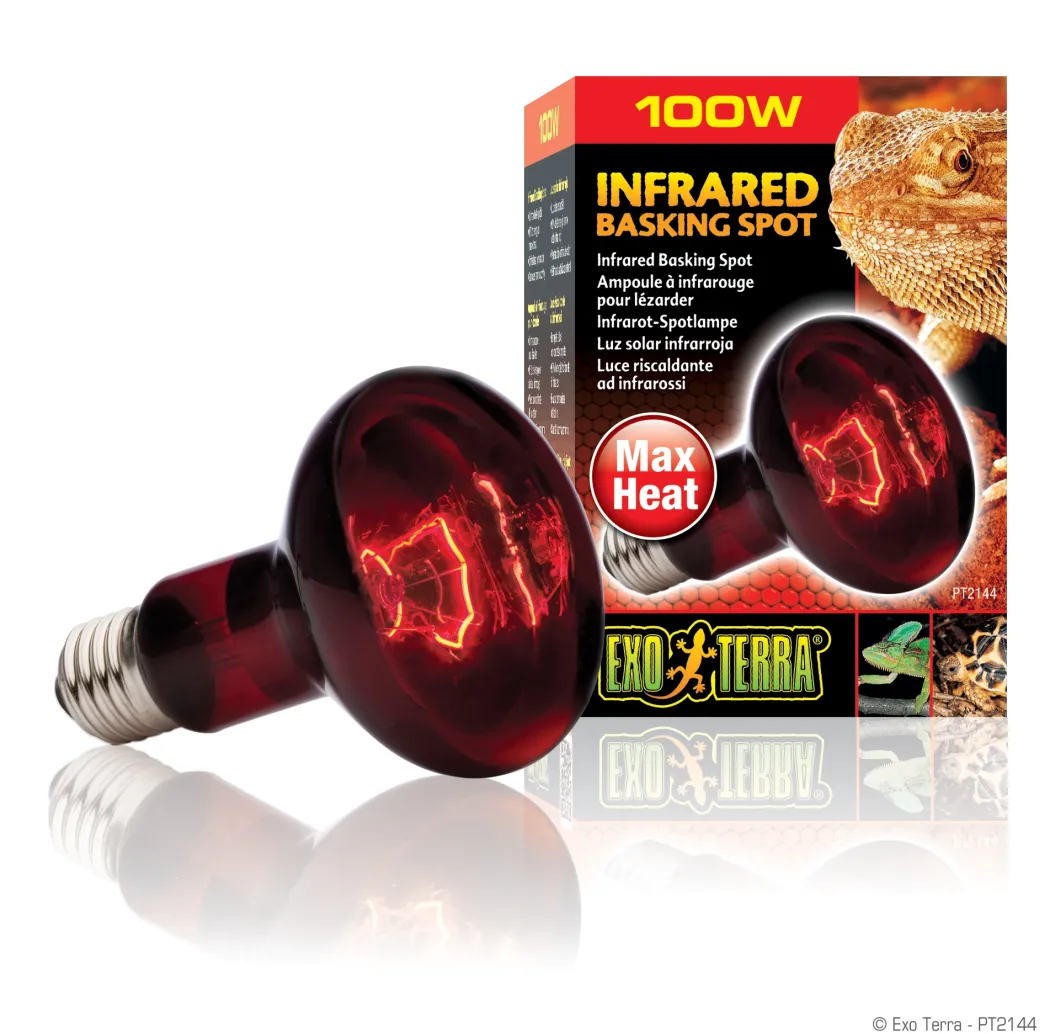 Exo Terra Heat Glo Infrarød spot 100 w