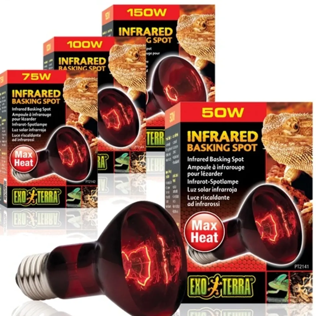 Exo Terra Heat Glo Infrarød spot 100 w