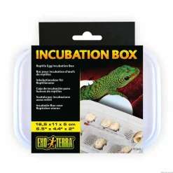 Exo Terra Incubation Box - Sikker rugning af reptilæg