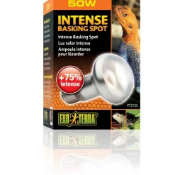 Exo Terra Intense Basking Spot 50 W - Effektiv UVA-varmespot til terrarier