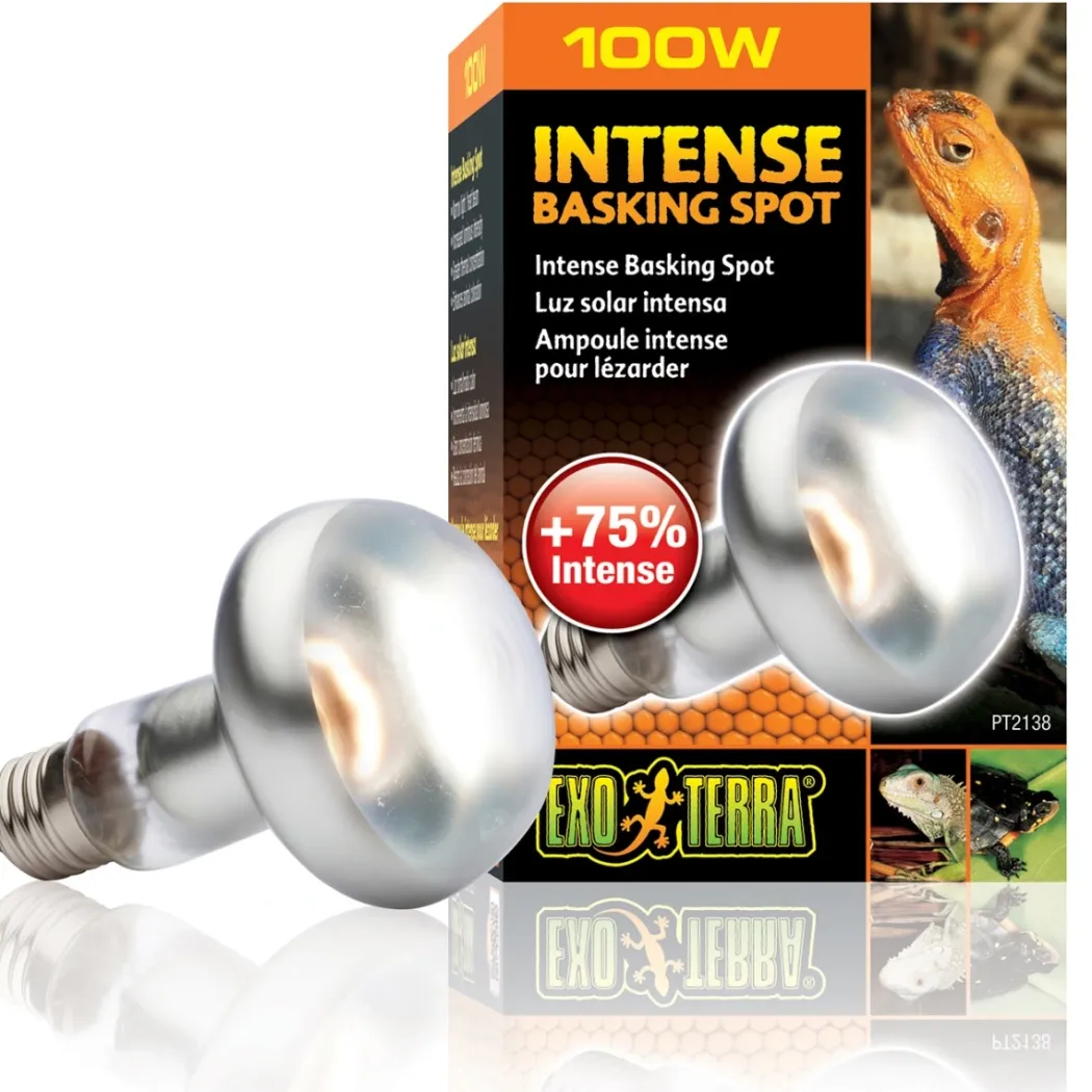 Exo Terra Intense Basking Spot 100 W - Effektiv UVA-varmespot til terrarier