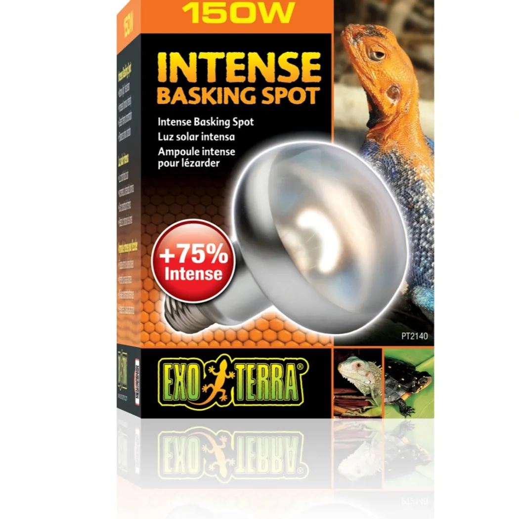 Exo Terra Intense Basking Spot 150 W - Effektiv UVA-varmespot til terrarier