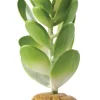 Exo Terra Jade kaktus