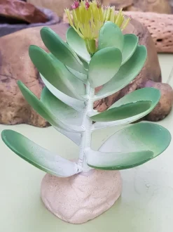 Exo Terra Jade kaktus