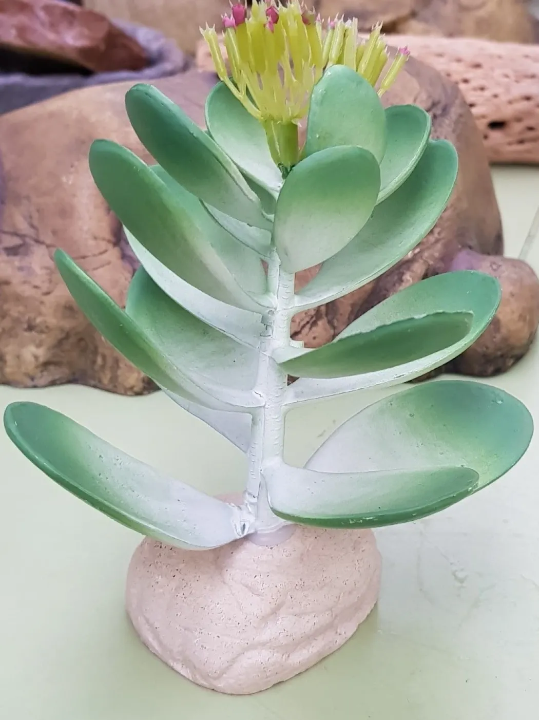 Exo Terra Jade kaktus