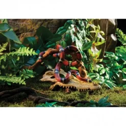 Exo Terra Krokodille kranie