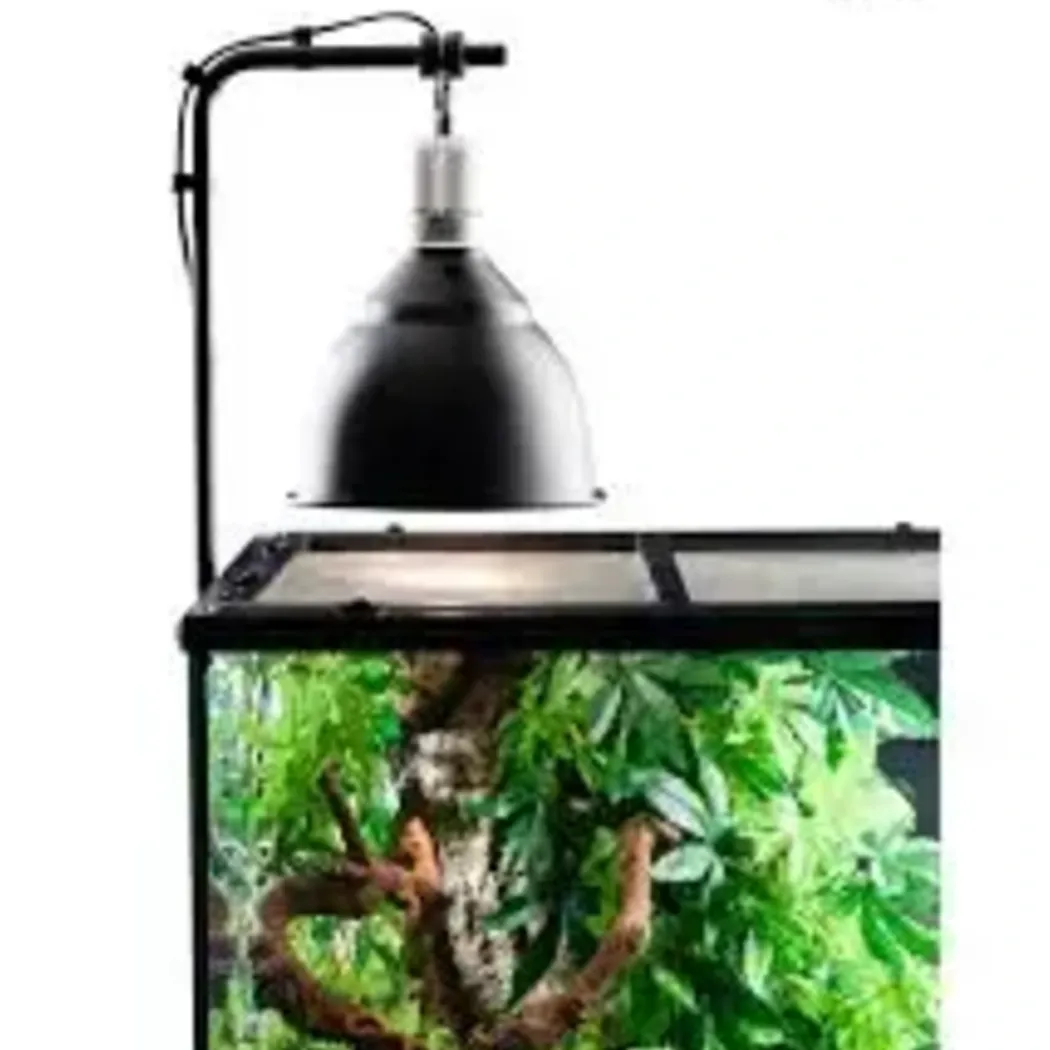 Exo Terra Light Dome lille