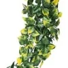 Exo Terra Mandarin stor