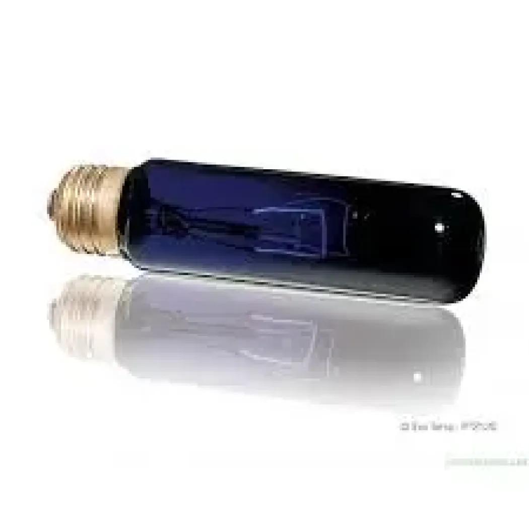 Exo Terra Night Glo 15 watt