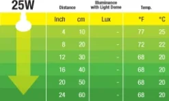 Exo Terra Night Glo 25 watt.