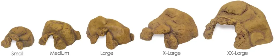 Exo Terra Reptilhule lille