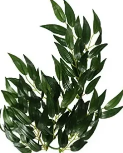 Exo Terra Ruscus lille