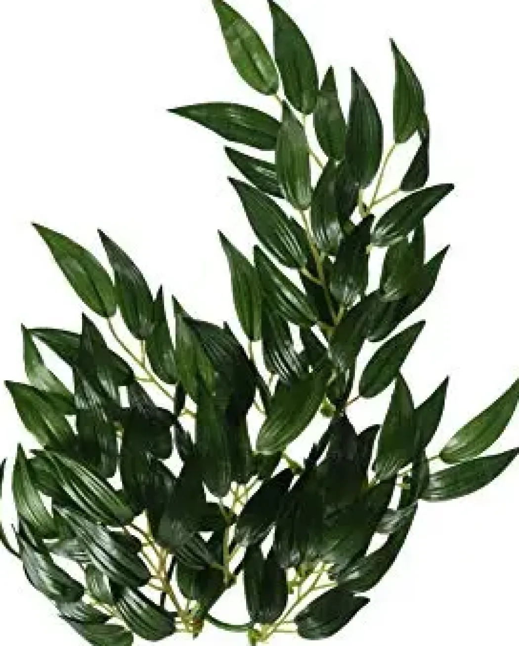 Exo Terra Ruscus lille