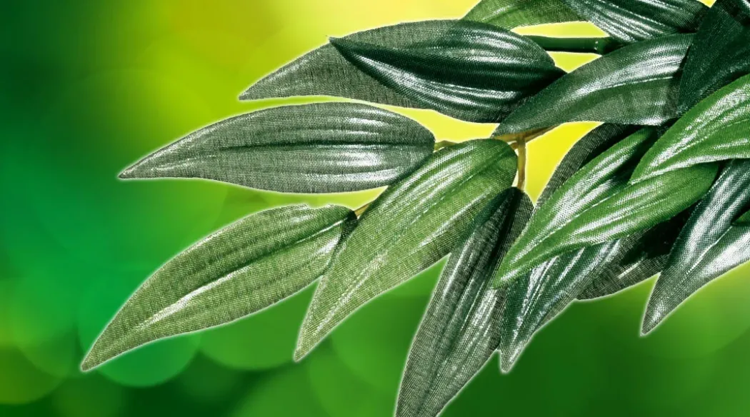 Exo Terra Ruscus lille