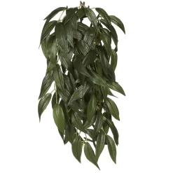 Exo Terra Ruscus medium