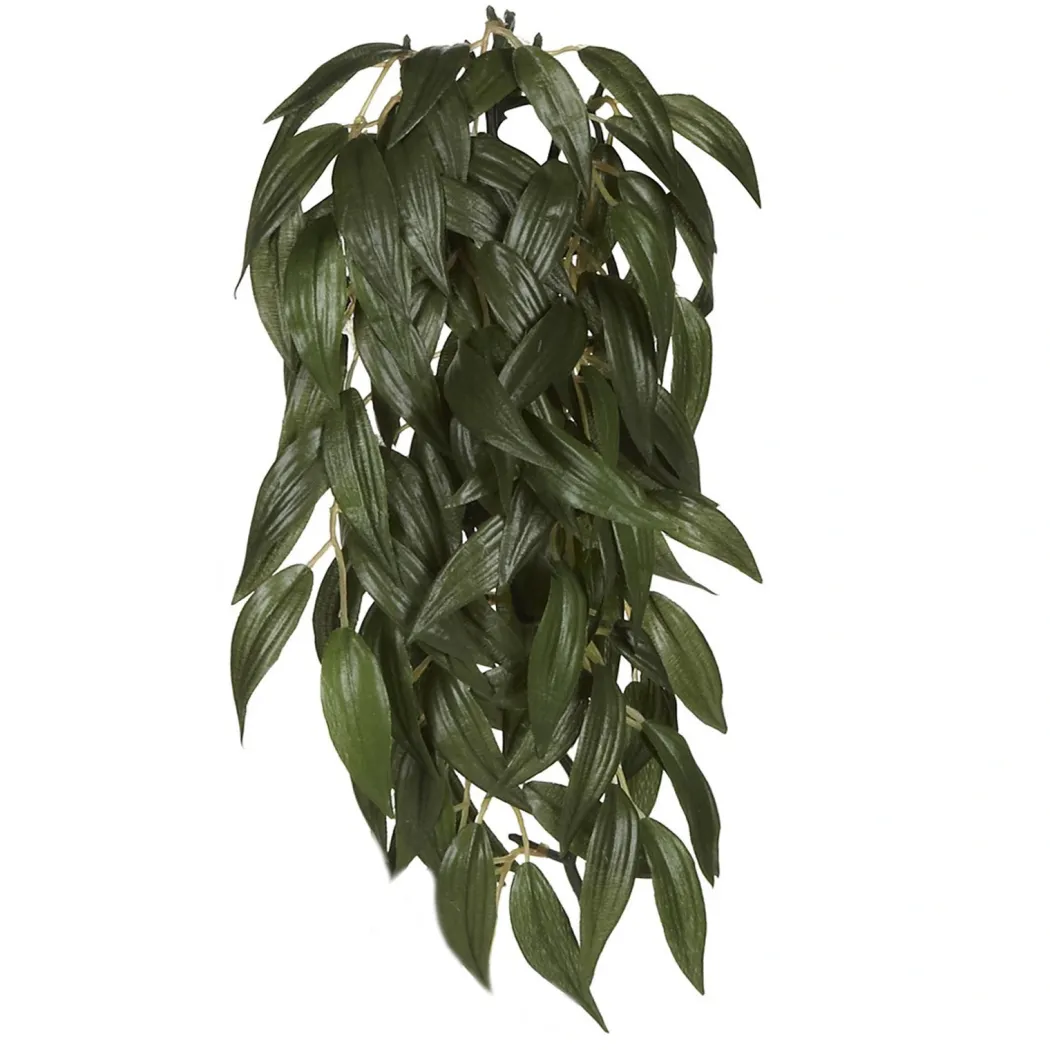 Exo Terra Ruscus medium