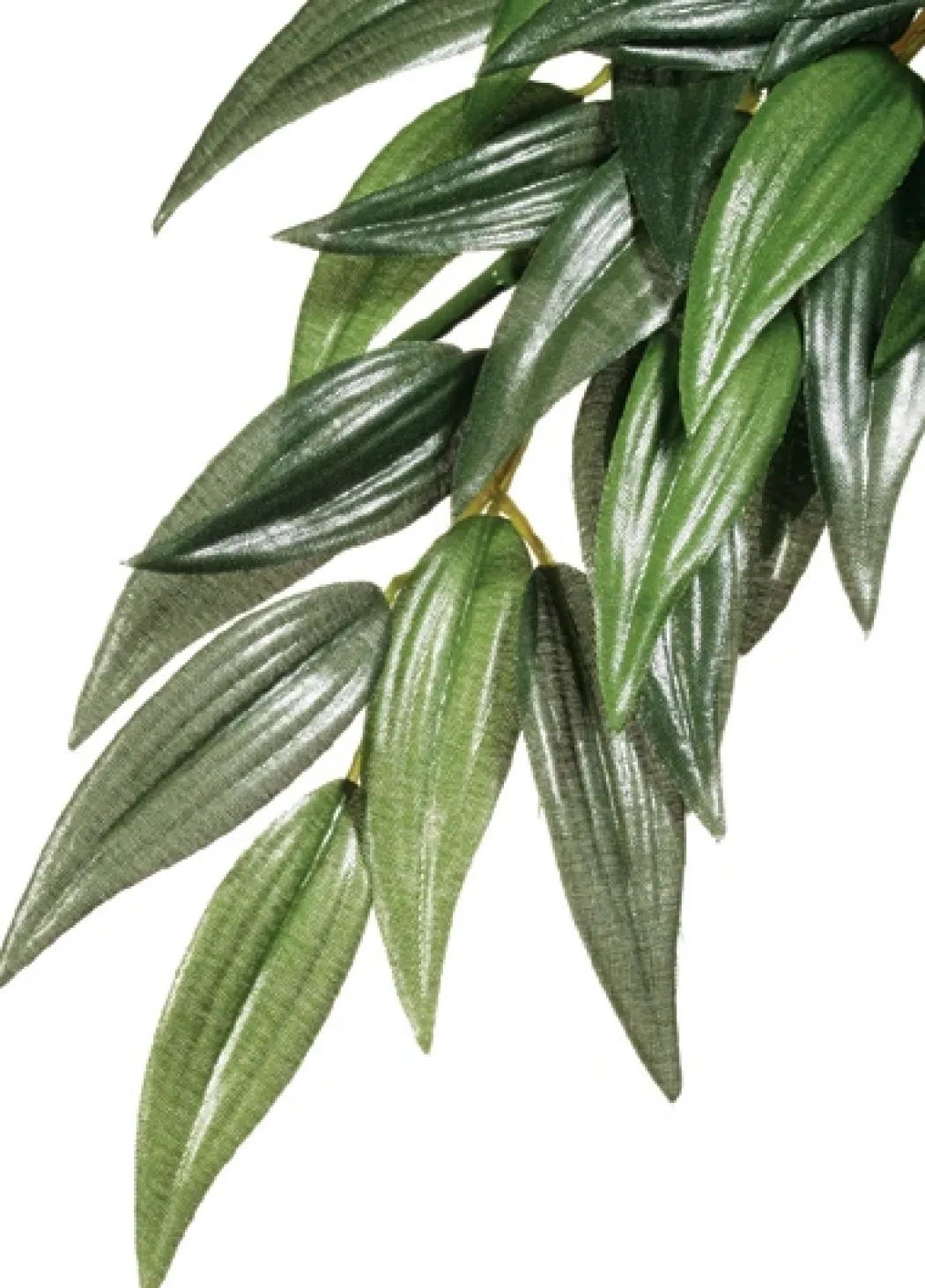 Exo Terra Ruscus medium