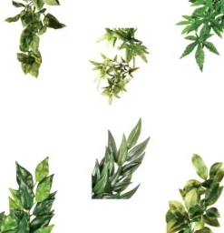 Exo Terra Ruscus stor