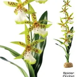Exo Terra Spider Orkide
