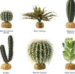 Exo Terra Star Cactus