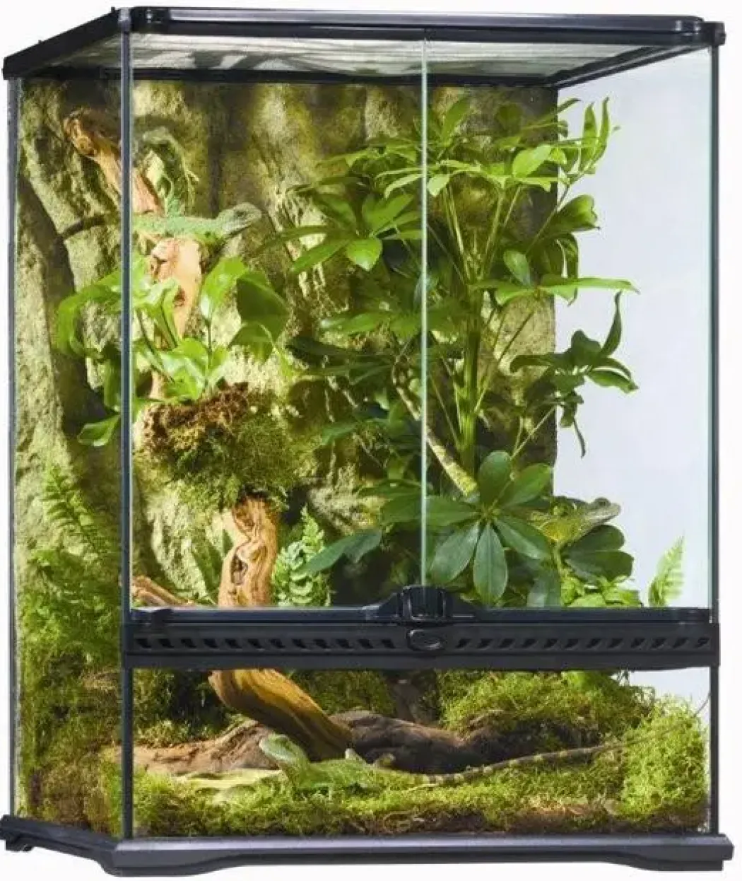ExoTerra terrarium 45 x 45 x 60 cm 122 Liter