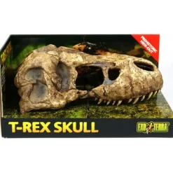 Exo Terra T-Rex kranie lille