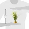 Exo Terra Turtle Grass