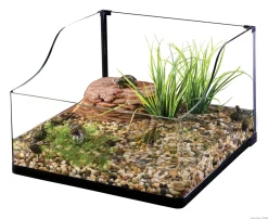 Exo Terra Turtle Grass