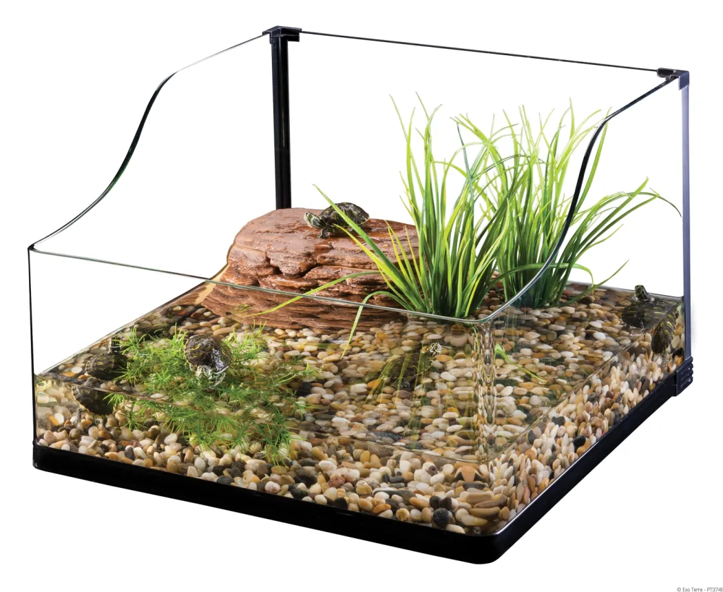 Exo Terra Turtle Grass