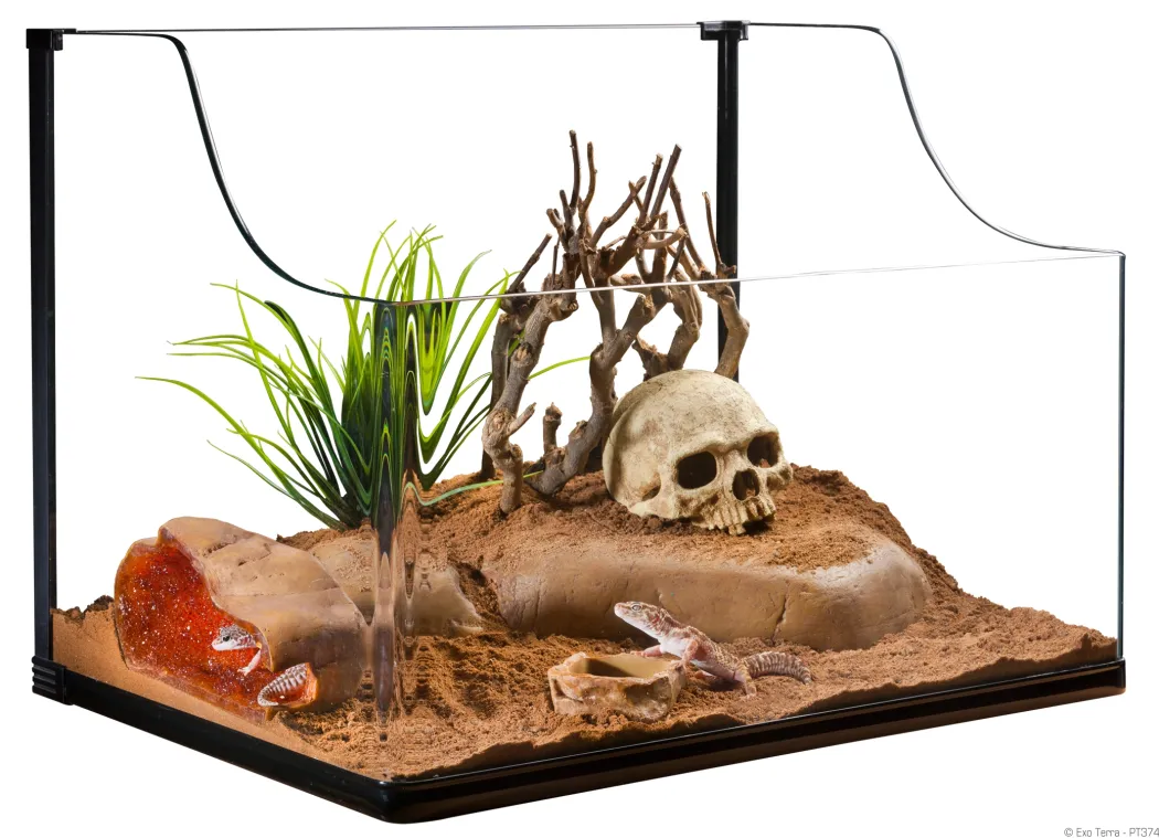 Exo Terra Turtle Grass