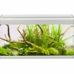 Family Akvarium 60x30x32 cm 54 Liter