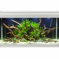 Family Akvarium 70x32x37 cm 80 Liter