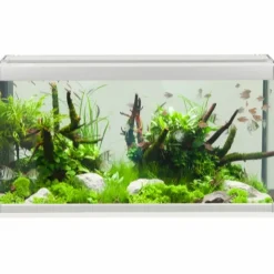 Family Akvarium 80x35x42 cm 112 Liter