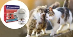 Feliway Friends diffusor med flaske 48 ml