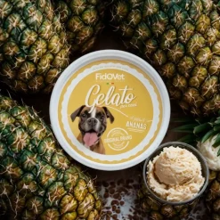 FidoVet Gelato Ananas - Hundeis