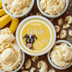 FidoVet Gelato Banan - Hundeis