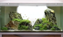 Fluval Flex akvarium 123 Liter Hvid