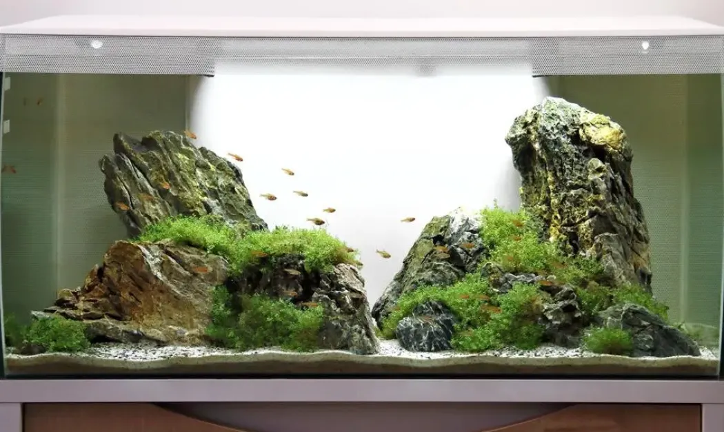 Fluval Flex akvarium 123 Liter Hvid