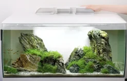 Fluval Flex akvarium 123 Liter Hvid