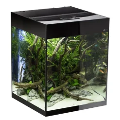 Glossy akvarie Cube 50x50x63 cm 132 L Sort
