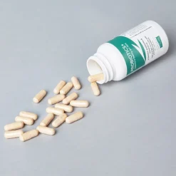 Greenfields Probiotics 60 kapsler til hund