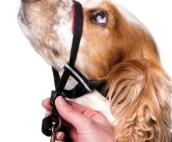 Halti OptiFit snudesele til hund medium nr 3